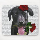 Search for dog rose electronics Flowers
