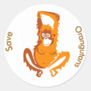 Search for save the orangutan stickers Wildlife