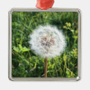 Search for dandelion christmas tree decorations Flower