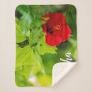 Search for tropical blankets Red