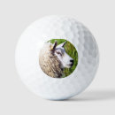 Search for sheep golf equipment Cute