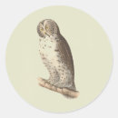 Search for owl photo stickers Illustration