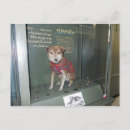 Search for mascot postcards Dog