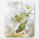 Search for lovely faces mouse mats Bird