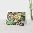 Search for funny romantic cards I love you