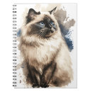 Search for birman cat Watercolor