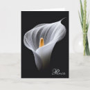 Search for peace lily flower cards White