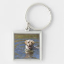 Search for rippled key rings River