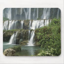 Search for crust mouse mats Yunnan province