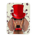 Search for dachshund magnets Animals