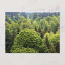 Search for wald Bayerischer wald