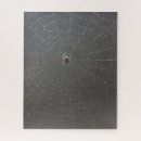 Search for spider web puzzles Spiders