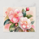 Search for camellia flower postcards Botanical