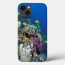Search for coral reef ipad cases Underwater