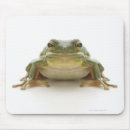 Search for digitally enhanced electronics Animal