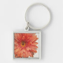 Search for orange gerbera accessories Daisy
