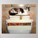 Search for cat bathroom art Toilet