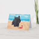 Search for scotties cards Animals