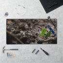 Search for critter electronics Bug