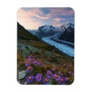 Search for switzerland magnets Zermatt
