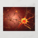 Search for synapse postcards Medicine