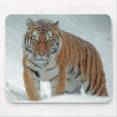 Search for beautiful tiger mouse mats Wildlife
