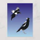 Search for magpie postcards Wildlife