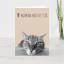 Search for funny miss you cards Cat