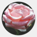 Search for up close stickers Beautiful