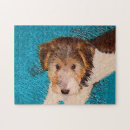 Search for fox terrier puzzles Puppy