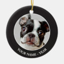 Search for photography christmas tree decorations Domestic animals