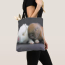 Search for dwarf photography Pets