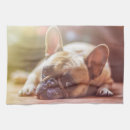 Search for french bulldog tea towels Animals