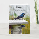 Search for swallow cards Couple
