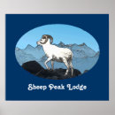 Search for sheeps posters Mountains