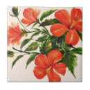 Search for asian tiles Branch