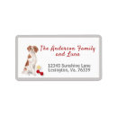 Search for spaniel return address labels Brown
