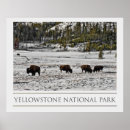 Search for cold season posters Wintry