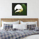 Search for calla lily canvas prints Lilies
