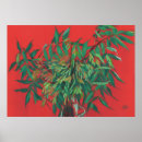 Search for ashe posters Ash tree