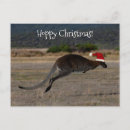 Search for funny australia christmas cards Animal