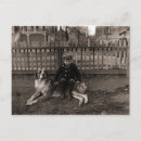 Search for st bernard postcards Vintage
