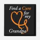 Search for cure magnets Rsd
