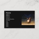 Search for elk business cards Animals