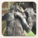 Search for chimp monkey coasters Cute