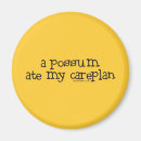Search for lpn magnets Student