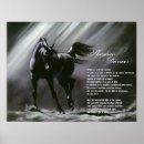 Search for spirit horse posters Equine
