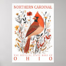 Search for birdwatchers posters Cardinal