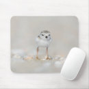 Search for state bird electronics Animal