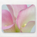Search for callas mouse mats Lily
